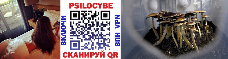 Псилоцибиновые грибы Psilocybe  Лагань 